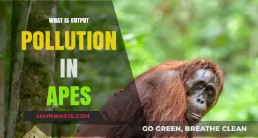 Output Pollution: Understanding Its Impact and Causes