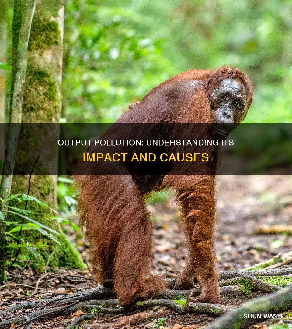 what is output pollution in apes