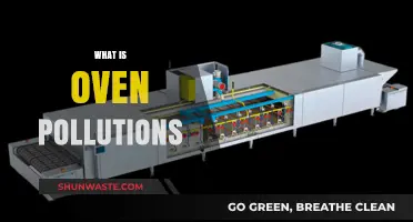 Oven Pollutions: What's Cooking in Your Kitchen?