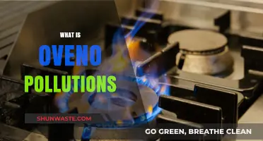 Ozone Pollution: Understanding the Threat to Our Environment