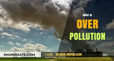 The Over Pollution Crisis: Understanding the Dire Consequences