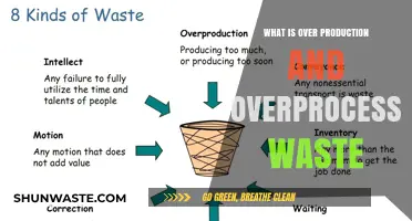 Eliminating Waste: Understanding Overproduction and Overprocessing in Lean Practices