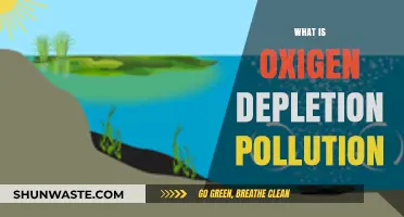 The Ocean's Silent Killer: Oxygen Depletion