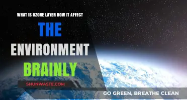 Understanding the Ozone Layer: Its Role and Environmental Impact Explained