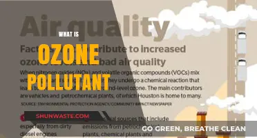 Ozone: Understanding the Invisible Pollutant