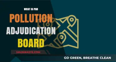 Understanding the Pollution Adjudication Board's Role and Impact