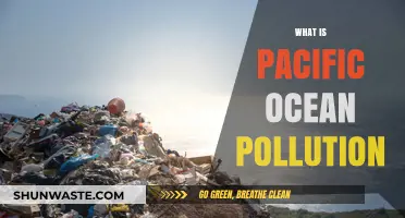 Pacific Ocean Pollution: A Crisis Unfolding