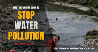 Pakistan's Water Warriors: Strategies to Combat Pollution