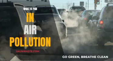Air Pollution: PAN's Impact and Presence