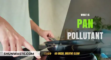 Understanding Pan-Pollution: A Comprehensive View of Pollution Sources
