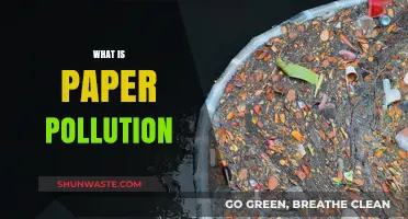 Paper Pollution: A Growing Environmental Concern