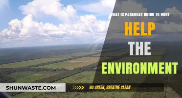 Paraguay's Environmental Efforts: Harmful Practices or Sustainable Solutions?
