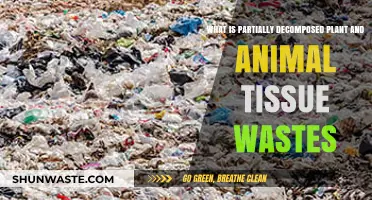 Understanding Partially Decomposed Plant and Animal Tissue Wastes