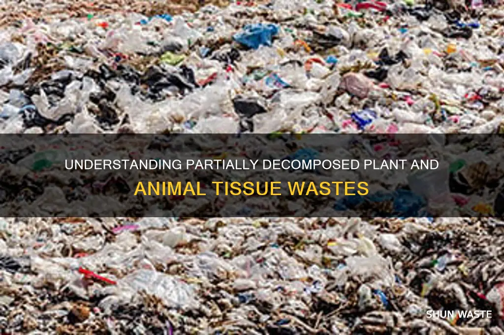 what is partially decomposed plant and animal tissue wastes