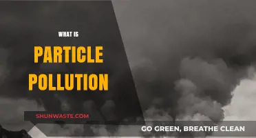 Particle Pollution: What It Is and Why It Matters