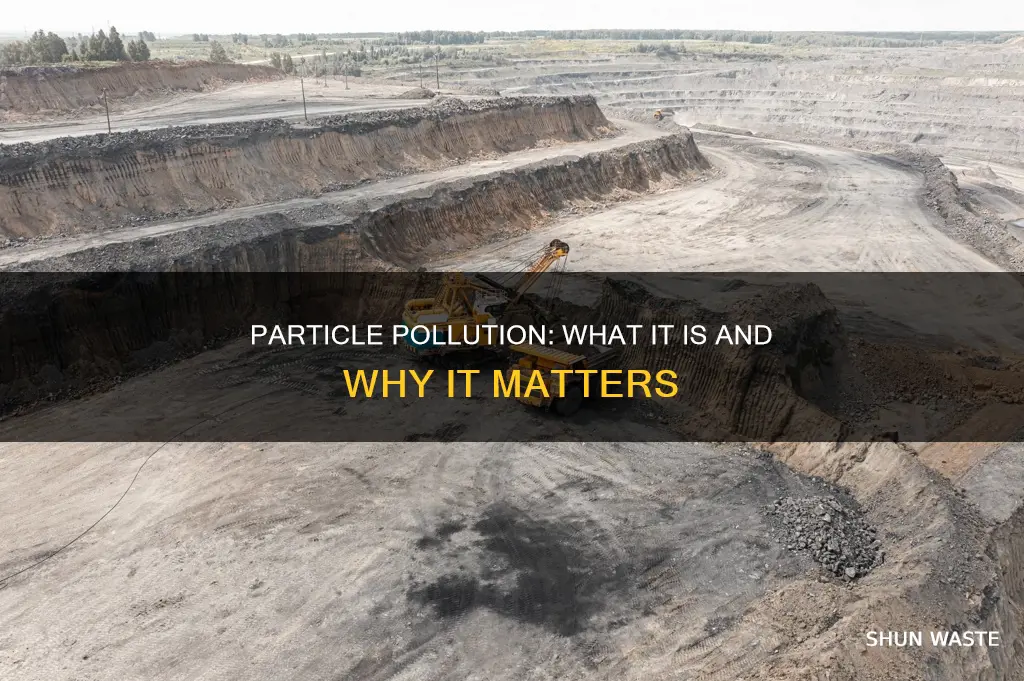 what is particle pollution