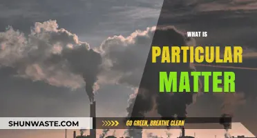 The Intricacies of Particular Matter: Understanding the Basics