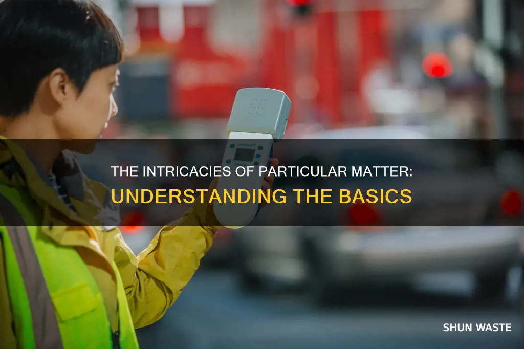 what is particular matter