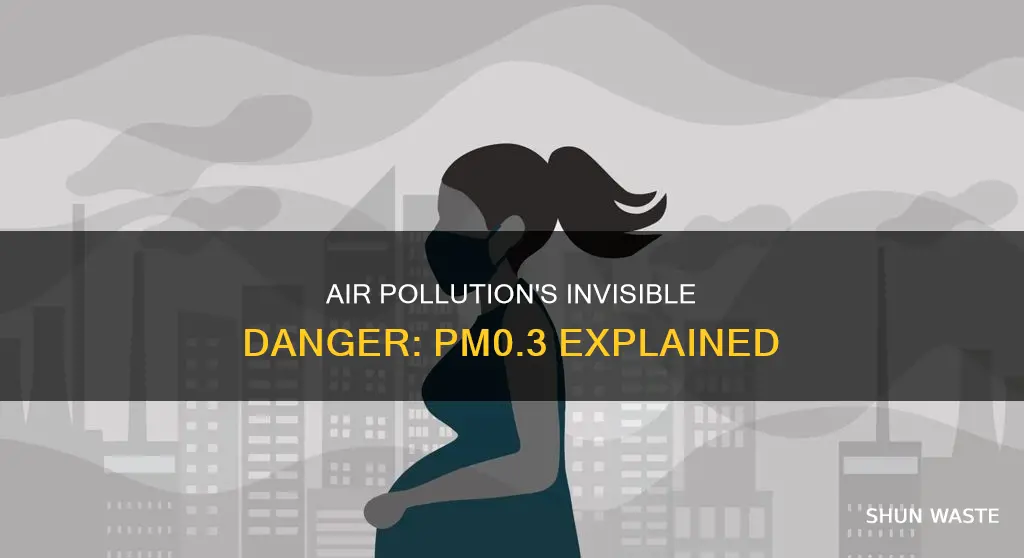 what is particulate 03 in air pollution