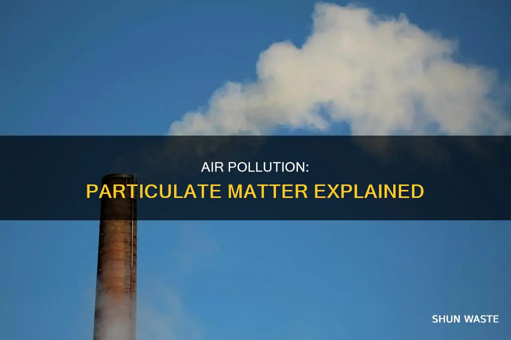 what is particulate air pollution