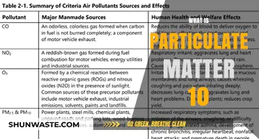Understanding Particulate Matter 10: Its Impact and Sources