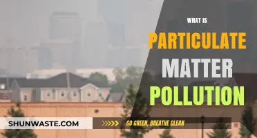 Particulate Matter Pollution: Tiny Particles, Big Problems