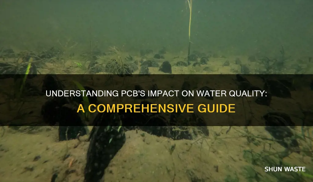 what is pcb in water pollution