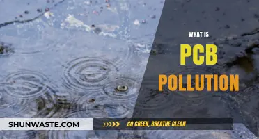 Understanding PCB Pollution: A Growing Environmental Concern