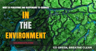 Perceiving and Responding to Environmental Changes: Understanding Adaptation Strategies