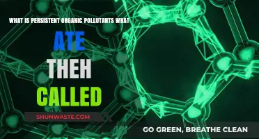Persistent Organic Pollutants: Understanding Their Nature and Impact