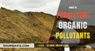 Organic Pollutants: Persistent, Dangerous, and Harmful