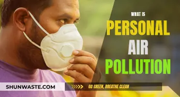 Air Pollution's Personal Impact: Understanding the Danger