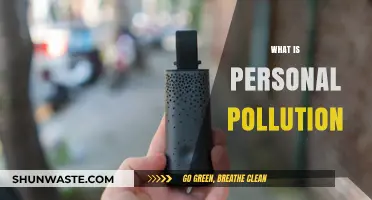Personal Pollution: How You Contribute to Environmental Degradation