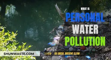 Understanding the Impact: What is Personal Water Pollution?