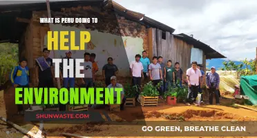 Peru's Green Revolution: Environmental Initiatives and Sustainable Practices