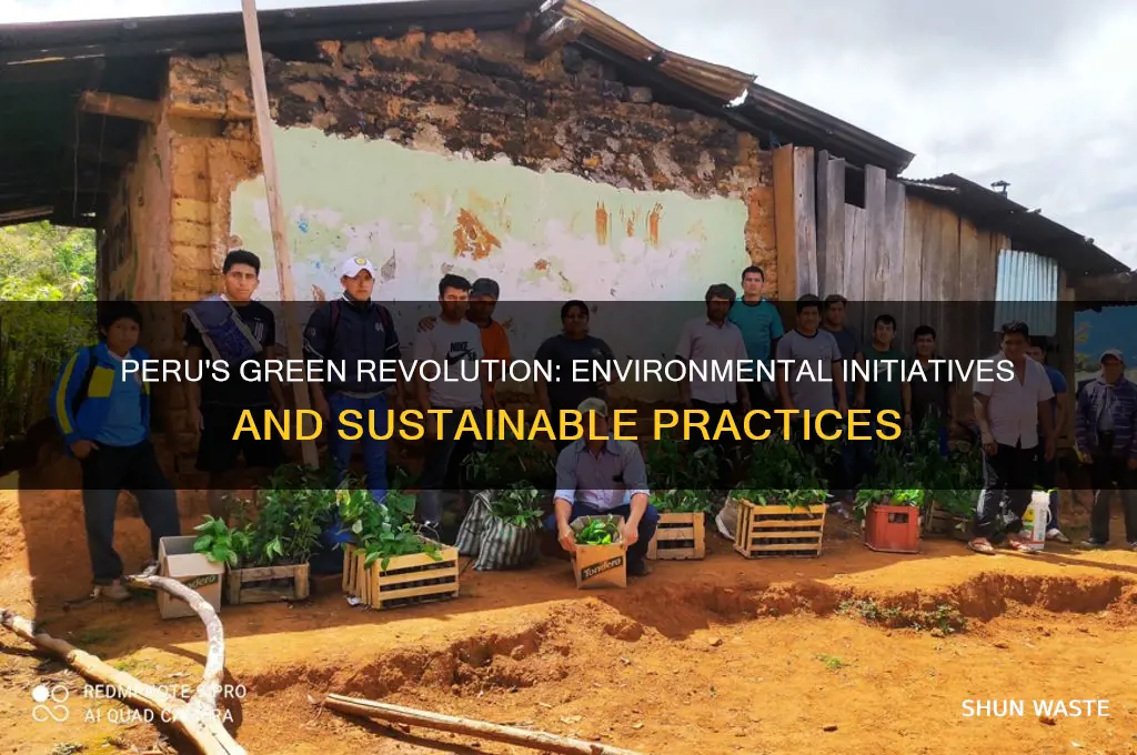 what is peru doing to help the environment