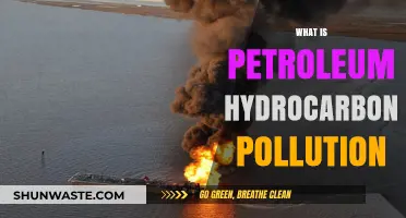 Petroleum Hydrocarbon Pollution: Understanding Its Impact