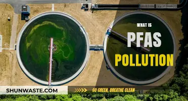 PFAS Pollution: A Growing Environmental Concern