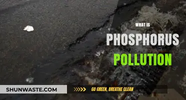 Phosphorus Pollution: A Threat to Our Waterways