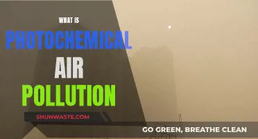 Air Pollution's Photochemical Reactions: Understanding the Science