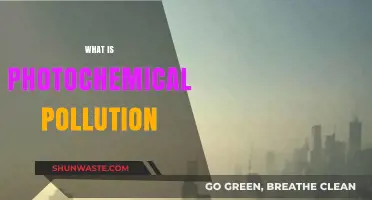 Understanding Photochemical Pollution and Its Impact