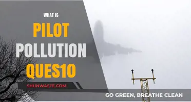 Understanding Pilot Pollution: A Critical Environmental Concern