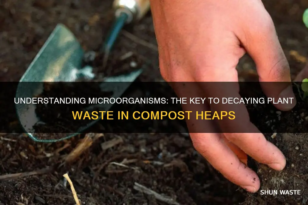 what is plant waste in a compost heap decayed by