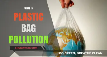 Plastic Bag Pollution: A Global Environmental Crisis