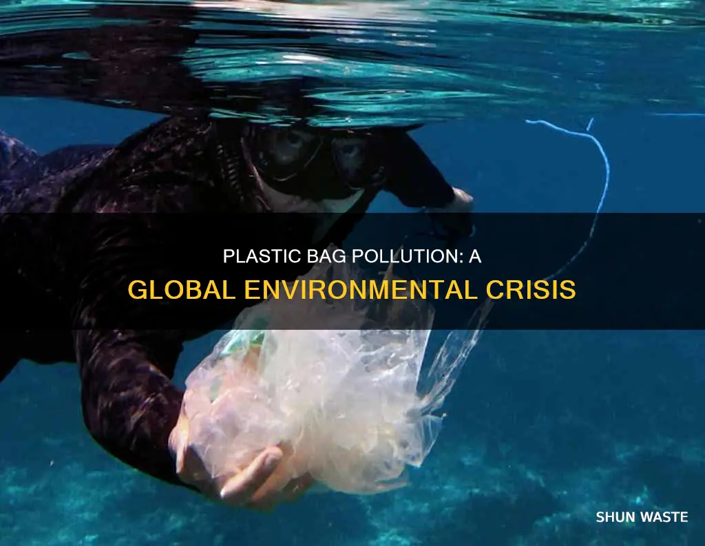 what is plastic bag pollution