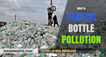 Plastic Bottle Pollution: A Global Crisis