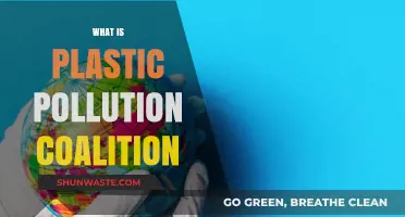 Plastic Pollution Coalition: A Global Alliance for Change