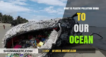 Ocean's Plastic Pollution: Understanding the Devastating Impact