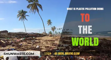 Plastic Pollution: A Global Crisis and Its Impact