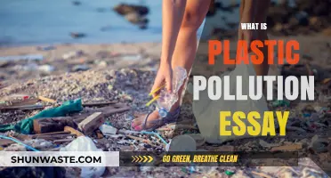 Plastic Pollution: A Global Crisis